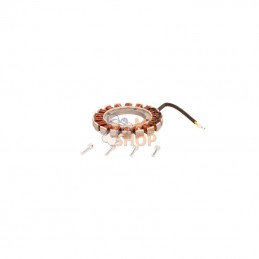 598600501; HUSQVARNA; ARMATURE | HUSQVARNA; pièce detachée