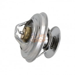 132000060726; CASE-STEYR; Thermostat; pièce detachée