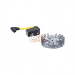 537380901; HUSQVARNA; SYSTÈME D´ALLUMAGE | HUSQVARNA; pièce detachée