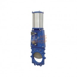 VGRP200; RAMUS; Vanne guillotine + vérin pneum. DN200; pièce detachée