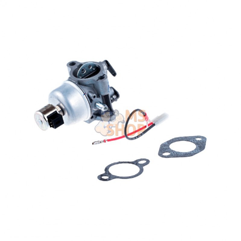 531029941; HUSQVARNA; CARBURATEUR | HUSQVARNA; pièce detachée