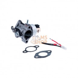 531029734; HUSQVARNA; CARBURATEUR | HUSQVARNA; pièce detachée