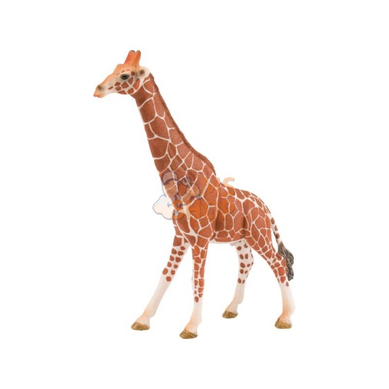 14749SCH; SCHLEICH; Girafe mâle; pièce detachée