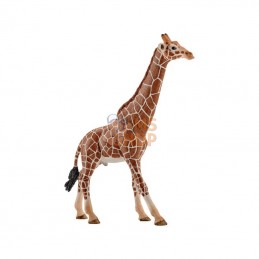 14749SCH; SCHLEICH; Girafe mâle; pièce detachée