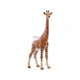 14750SCH; SCHLEICH; Girafe femelle; pièce detachée