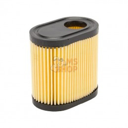 FGP014131; KRAMP; Filtre à air p/Tecumseh 36905; pièce detachée