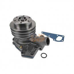 VPE1197; VAPORMATIC; Pompe à eau; pièce detachée