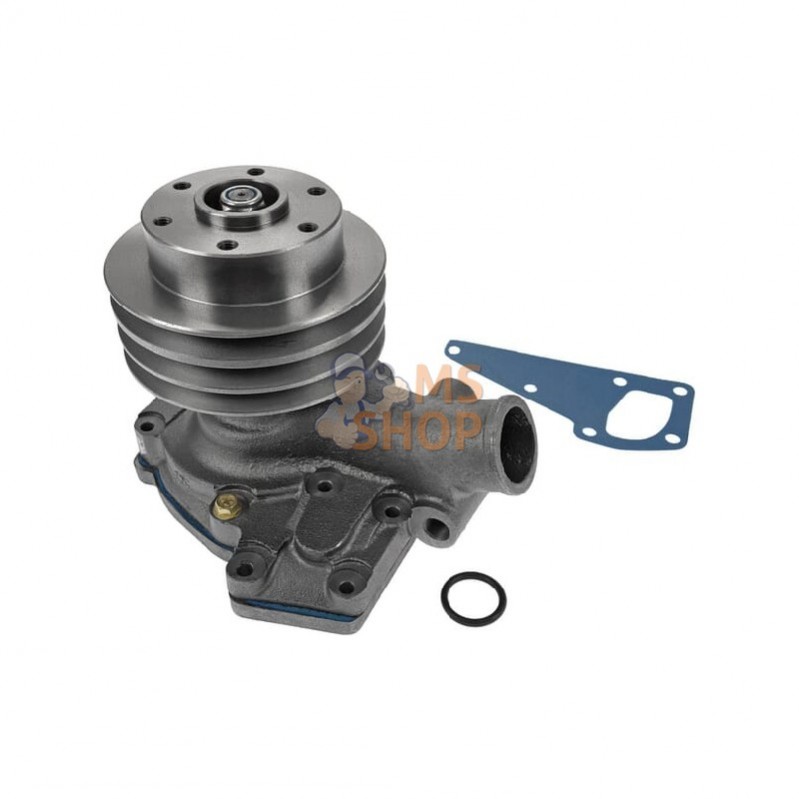 VPE1197; VAPORMATIC; Pompe à eau; pièce detachée