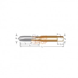 E000M5; DORMER; Taraud de machine M5 Dormer; pièce detachée