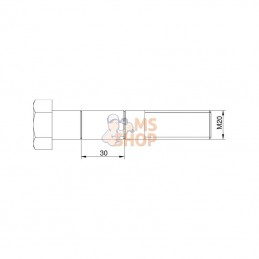 990122; EVERS; Boulon de cisaillement M20x110  8.8; pièce detachée