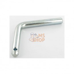 4101602980; LELY; Pivot Lely; pièce detachée
