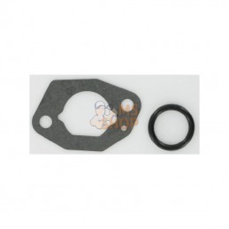 1185500190; STIGA; Carburateur Kit de joints SV15; pièce detachée