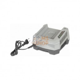 1182041410; STIGA; Chargeur de batterie 80vcc fiche CE tête motorisée; pièce detachée