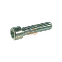 9121630; KRAMP; Vis cyl. 6p cr. M16x30 8.8 zingué; pièce detachée