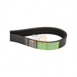 X696989501000AB; OPTIBELT; Courroie trapézoïdale; pièce detachée
