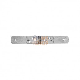 0960175302100; UNBRANDED; Charnière de cave 50x225mm; pièce detachée
