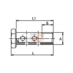 HBB08D22; KRAMP; Boulon banjo 1/2BSP dopp. Scha; pièce detachée