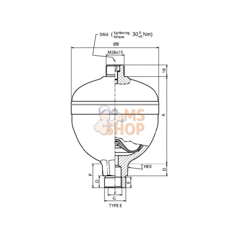 WA350207510E1A30; SAIP; Accumulateur 0,75 L p0=30 bar; pièce detachée