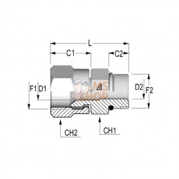 FMUN1712; ALFAGOMMA; Union simple male 1 1/16 - 3/4 JIC/NPT; pièce detachée