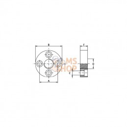 4DF20; OLEO TECNICA; Bride droit 1 1/4" BSP; pièce detachée