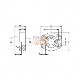 AFW320SU42; OLEO TECNICA; Bride soudée 3PSI 1-1/4 Ø 42,8; pièce detachée