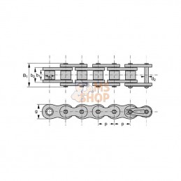 KE11434; REX PRO; Chaîne à rouleaux 20B1; pièce detachée