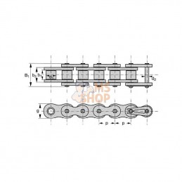 R25SH; REXNORD; Chaîne à rouleaux; pièce detachée