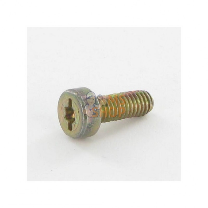 0018346; SOLO; Vis Torx6x16; pièce detachée