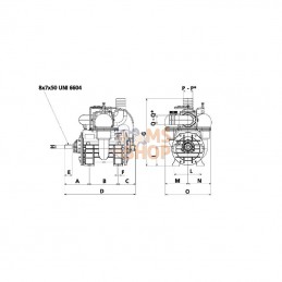 MEC13500P; BATTIONI PAGANI; Pompe à vide entraînement poulie B.P.; pièce detachée