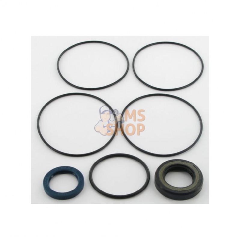 GDS9AFD; COMER; Kit de joints pour moteur orbital GDS; pièce detachée GDS9AFD; COMER; Kit de joints pour moteur orbital GDS; pièce detachée