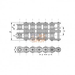 KD11434; REX PRO; Chaîne à rouleaux double 20B2; pièce detachée