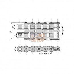 KD120; REX PRO; Chaîne à rouleau double ASA120; pièce detachée