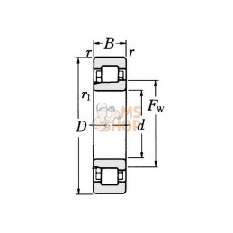 NJ2203ECP; SKF; Roulement à rouleaux cylindriques 17x40x16 mm, NJ2203ECP SKF; pièce detachée