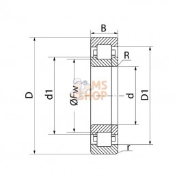NUP2205SKF; SKF; Roulement à rouleaux cylindriques 25x52x18 mm, NUP2205ECP SKF; pièce detachée