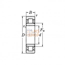 NU203ECPC3; SKF; Roulement à rouleaux cylindriques 17x40x12 mm, NU203ECPC3 SKF; pièce detachée