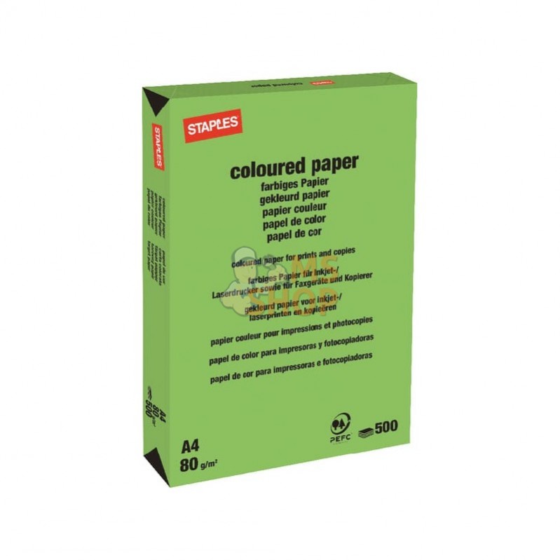 600316ST; STAPLES; Papier A4 vert gazon 500B; pièce detachée