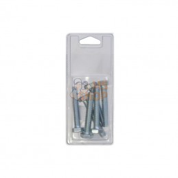 KR9331060P006; KRAMP BLISTER; Vis hexagon M10x60 8.8 ZP (6x); pièce detachée
