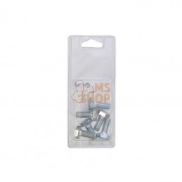KR9331025P006; KRAMP BLISTER; Vis hexagon M10x25 8.8 ZP (6x); pièce detachée