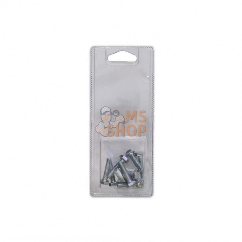 KR933625P010; KRAMP BLISTER; Vis hexagon M6x25 8.8 ZP (10x); pièce detachée