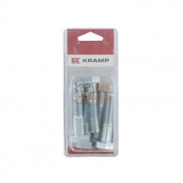 KR9311460P006; KRAMP BLISTER; Vis hexagon M14x60 8.8 ZP (6x); pièce detachée