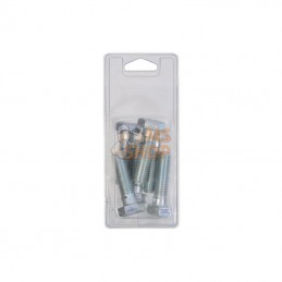 KR9311450P006; KRAMP BLISTER; Vis hexagon M14x50 8.8 ZP (6x); pièce detachée
