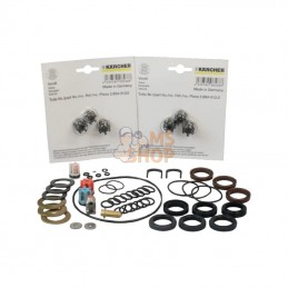 28839140KA; KÄRCHER; Jeu de pièces détachées pompe HDS 1295, Kärcher; pièce detachée