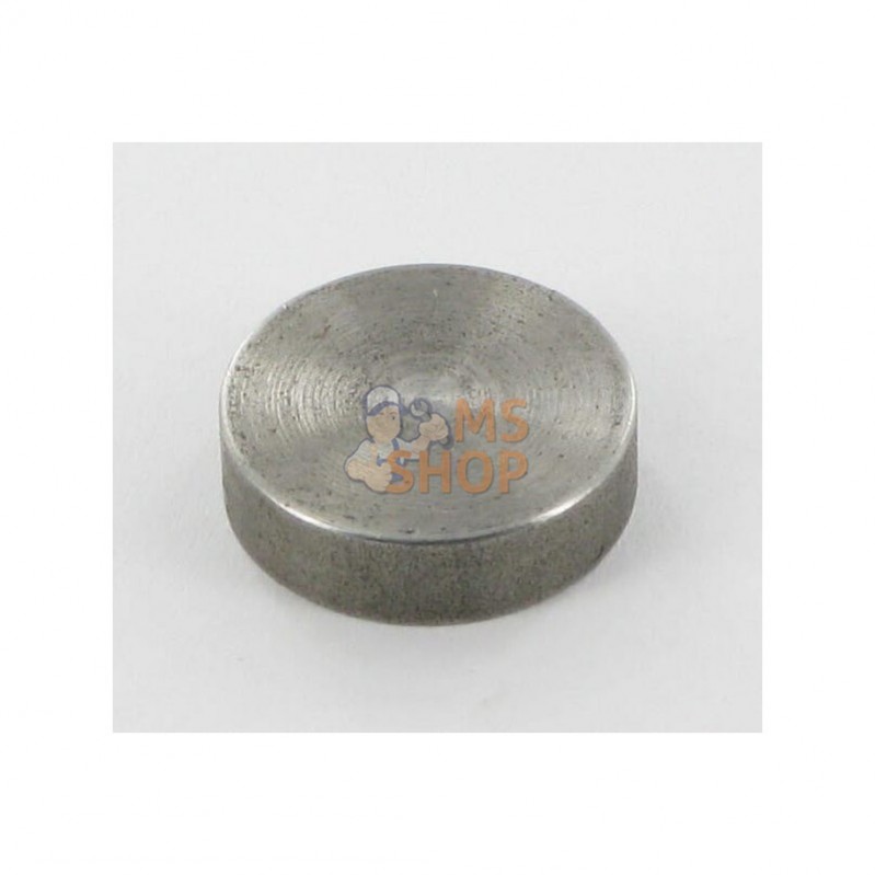 4120103290; LELY; Disque 5mm Lely; pièce detachée