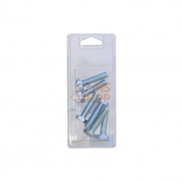 KR9331040P006; KRAMP BLISTER; Vis hexagon M10x40 8.8 ZP (6x); pièce detachée