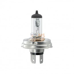 KRGL120645P001; KRAMP BLISTER; Ampoule 12V 60/55W H4 P45t; pièce detachée
