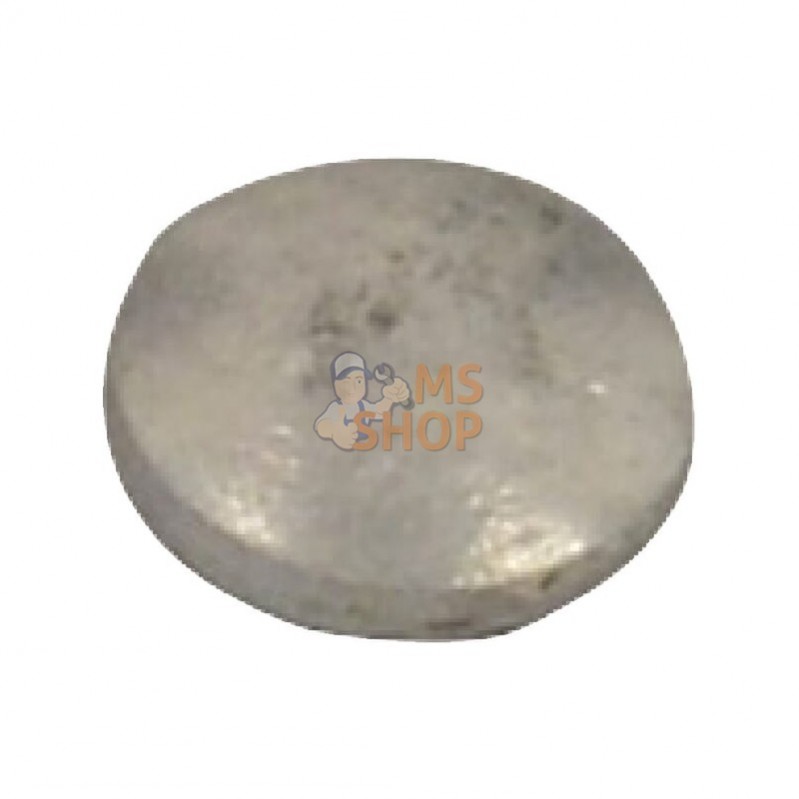 FGP012293; KRAMP; Plaquette de fermeture p/ Walbro 88-89; pièce detachée