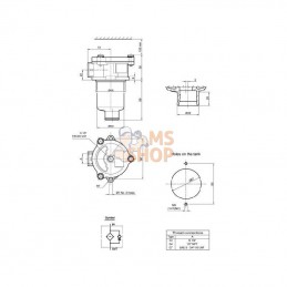 MPF0301G1A03; MP FILTRI; Filtre ret.1/2BSP MPF030/1-A03; pièce detachée