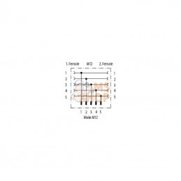 M12TFFM; MURR ELEKTRONIK; Raccord en T M12 femelle femel; pièce detachée