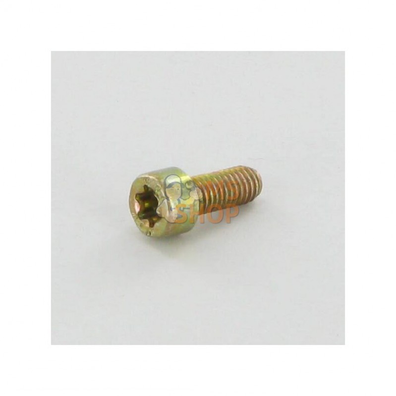 ALP2135180; ALPINA; Vis Torx M5x12; pièce detachée