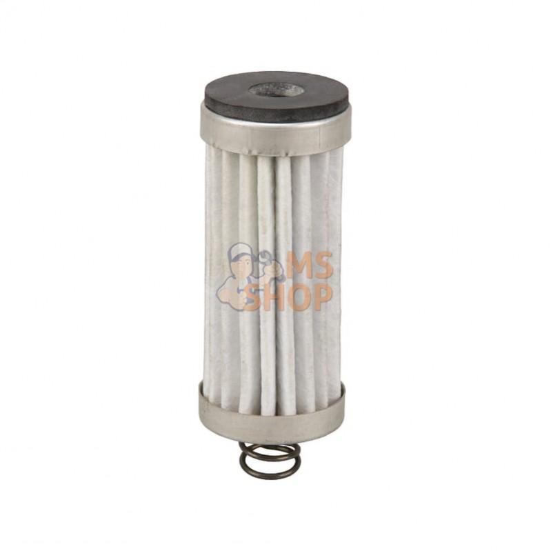 G06950002; AS-MOTOR; Filtre à huile; pièce detachée